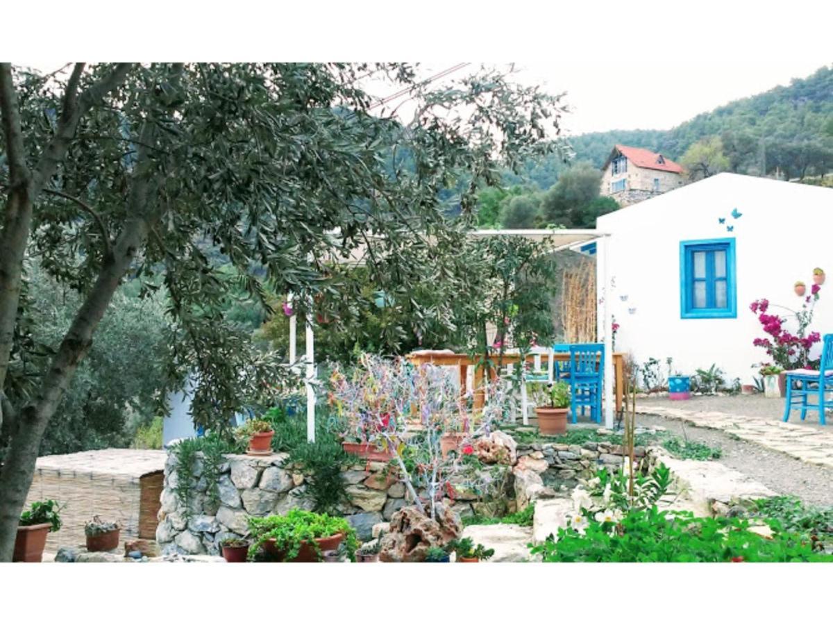 Mavi Kelebek Datca Hotel Exterior photo